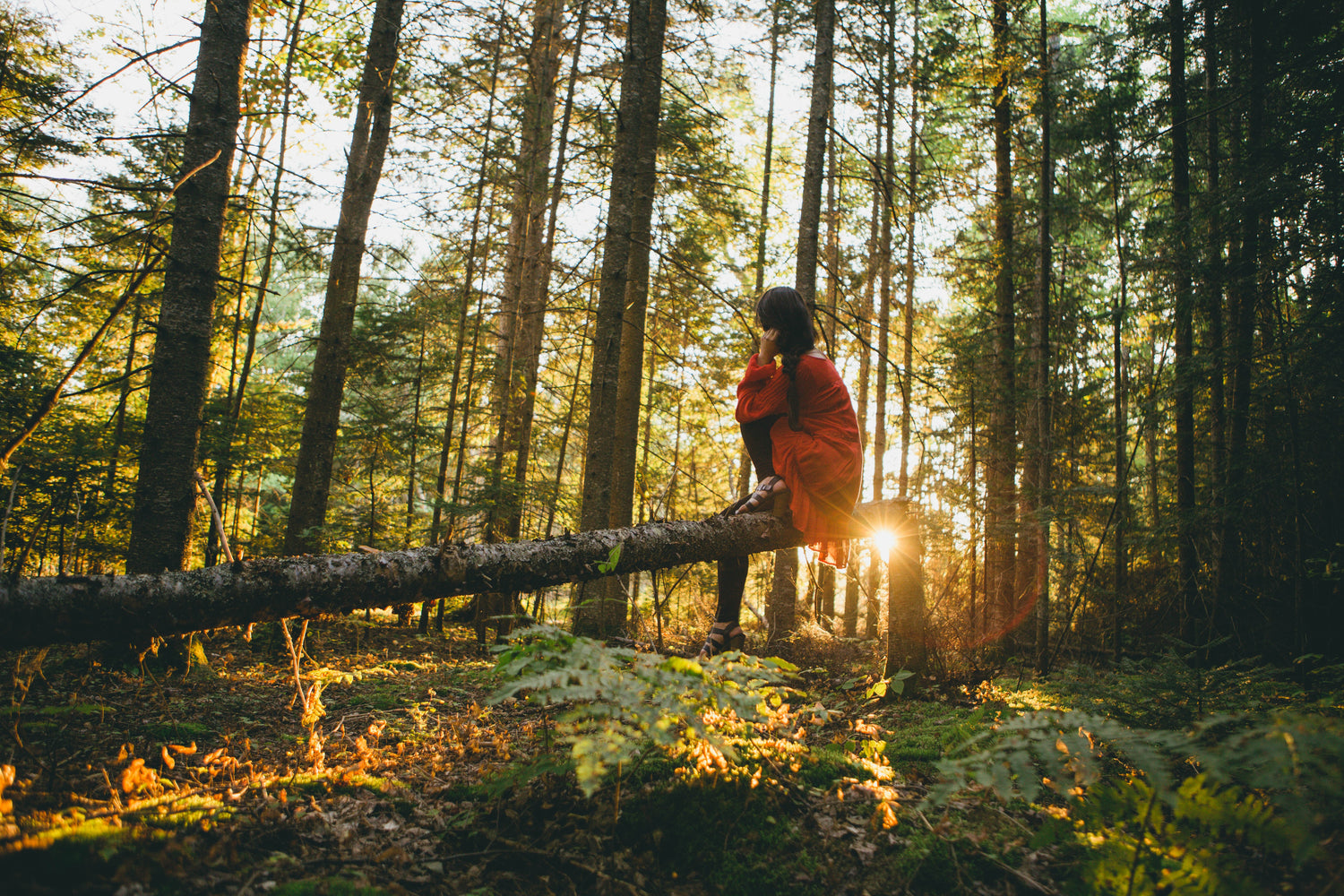 Woman in woods on tree at sunrise travelling through forest on holiday